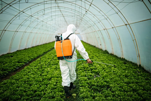 Best Pest Inspection Near Me  in Canonsburg, PA
