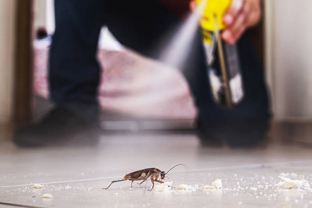 Best Best Pest Control Companies  in Canonsburg, PA